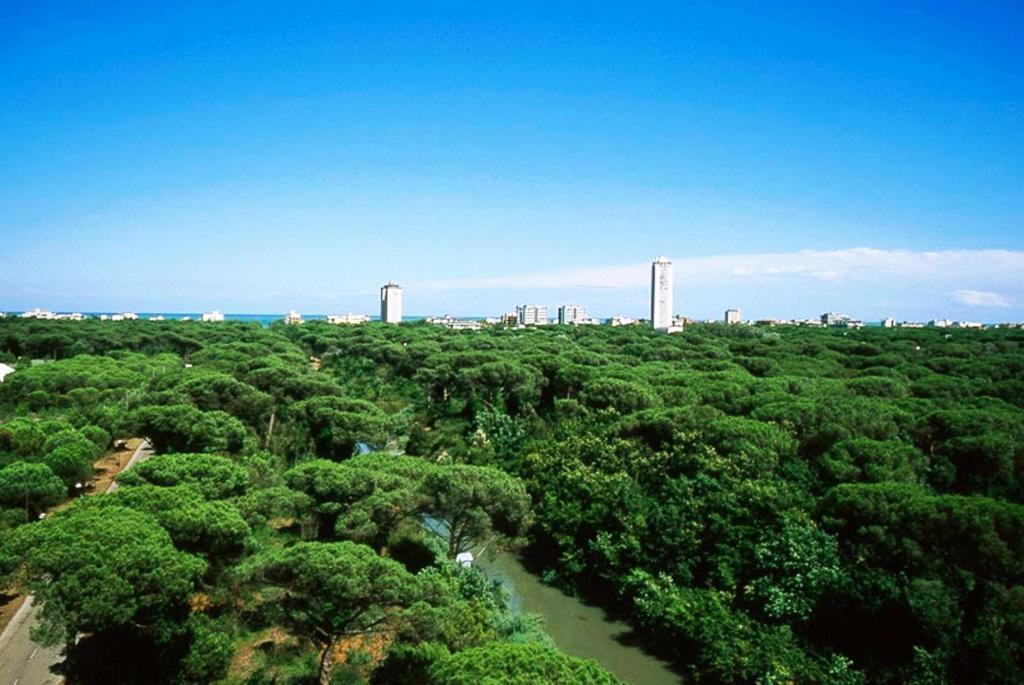 Hotel Zani Червия Экстерьер фото